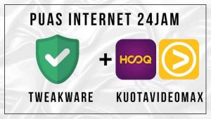 Cara Setting Tweakware Videomax