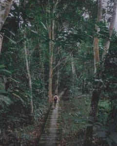 Taman Nasional Kutai