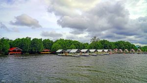 Taman Wisata Graha Mangrove