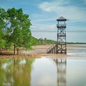 Wisata Alam Mangrove Pendopo