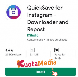 Quicksave For Instagram 1