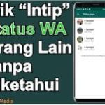 Cara Melihat Status Whatsapp Orang Lain Tanpa DiKetahui