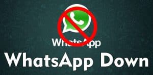 Whatsapp Tidak Bisa Update Status Foto 8
