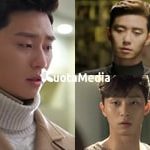 Drama dan Film Park Seo Joon