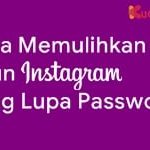 Cara Memulihkan Akun Instagram yang Lupa Password 15